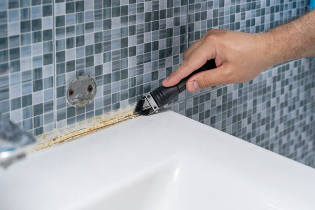 Best Emergency Mold Remediation in Seal Beach, CA